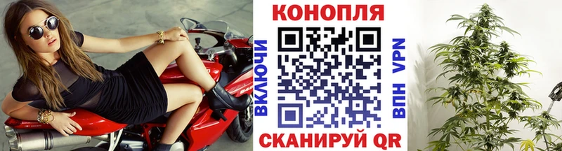 Марихуана марихуана  купить   Новокубанск 
